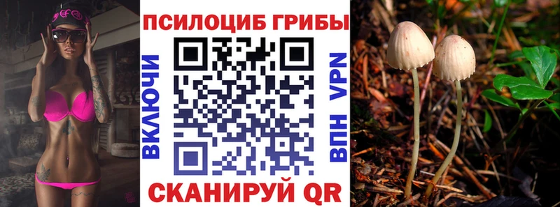 Галлюциногенные грибы прущие грибы  цены   Славгород 